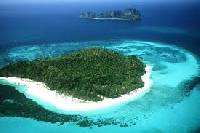 جزیره خیره کننده بامبو درفی فی