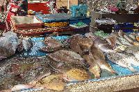 4 بازار بزرگ غذاهای دریایی در پوکت