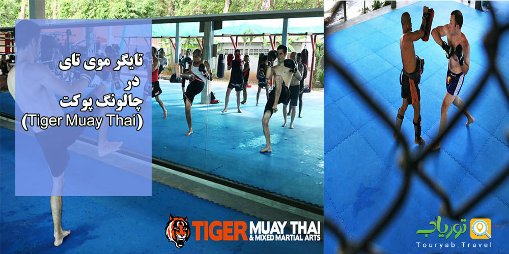 مدرسه تایگر موی تای در چالونگ پوکت(Tiger Muay Thai)
