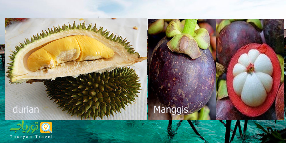 8 میوه خوشمزه گرمسیری که باید در بالی بچشید