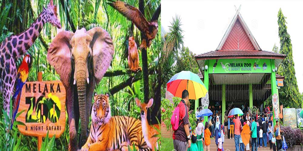 باغ وحش ملاکا مالزی(جانورشناسی)