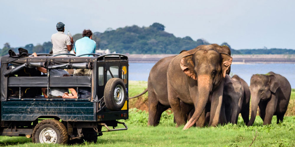 پارک ملی یالا (بزرگترین پارک حیات وحش سریلانکا)