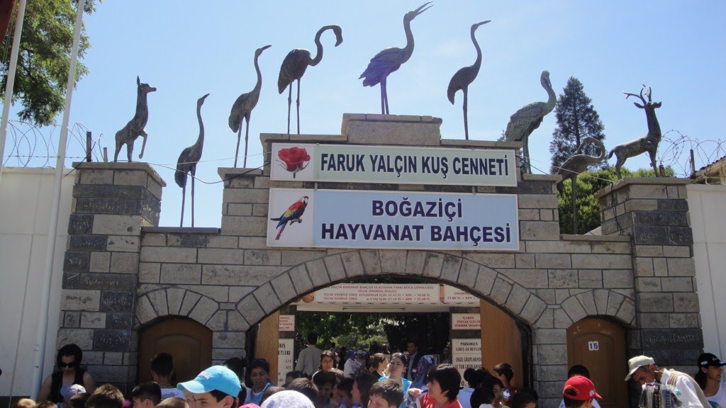 شش باغ وحش در استانبول که حیوانات بومی و خانوادگی دارند