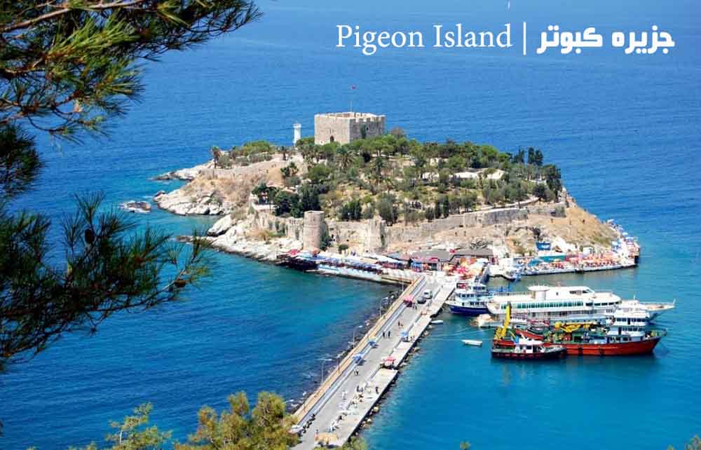 جزیره کبوتر | Pigeon Island
