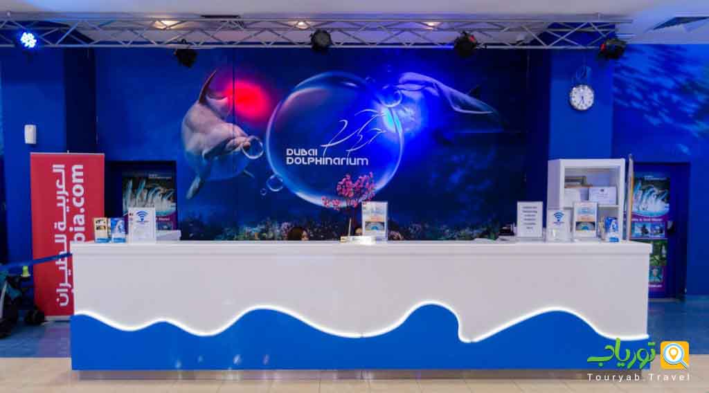 دلفیناریوم دبی(مهارت ها و استعدادهای حیرت انگیز دلفین ها)
