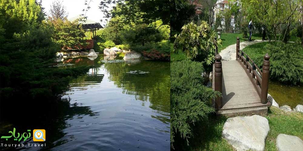 باغ ژاپنی بالتا لیمانی استانبول(فضا و درختان ژاپنی)