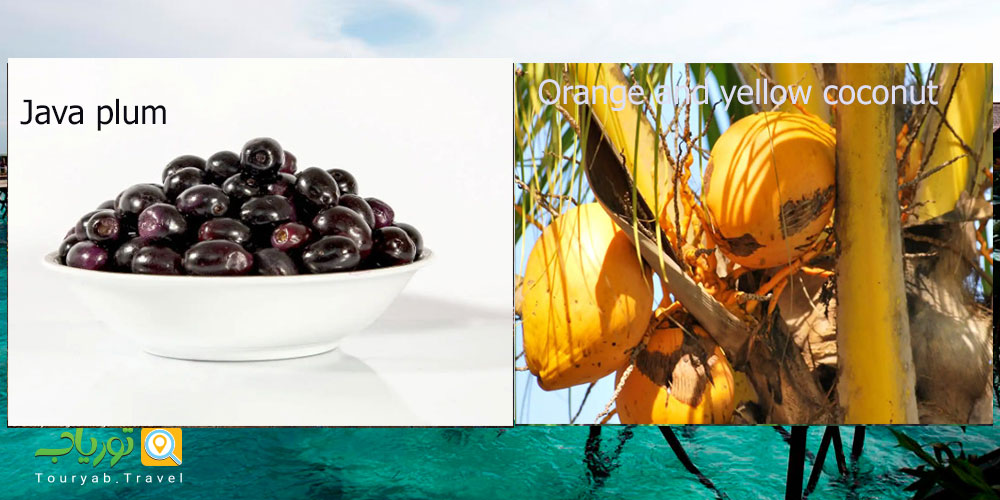 8 میوه خوشمزه گرمسیری که باید در بالی بچشید