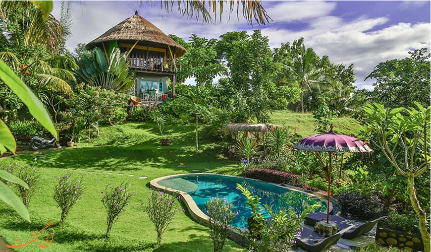 اقامتگاه های جنگلی بالی