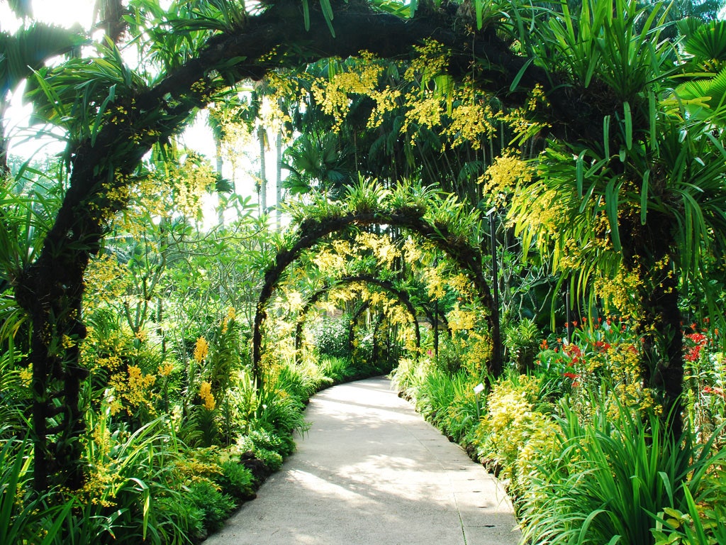 باغ های دیدنی سنگاپور