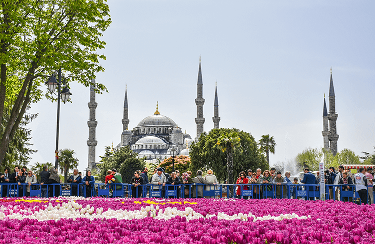 گل لاله هدیه ترکیه به جهان