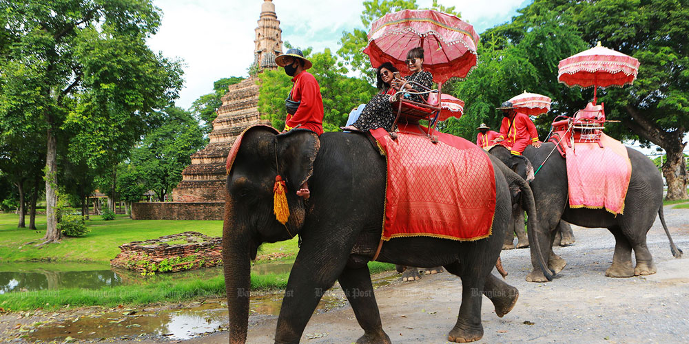صنعت گردشگری فیل های تایلند؟